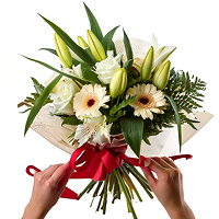 המארזים שלנו