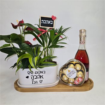מארז מיקס, פררו לב ויין 
