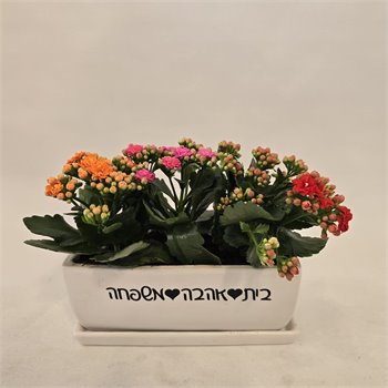 נצניות "בית, אהבה, משפחה"
