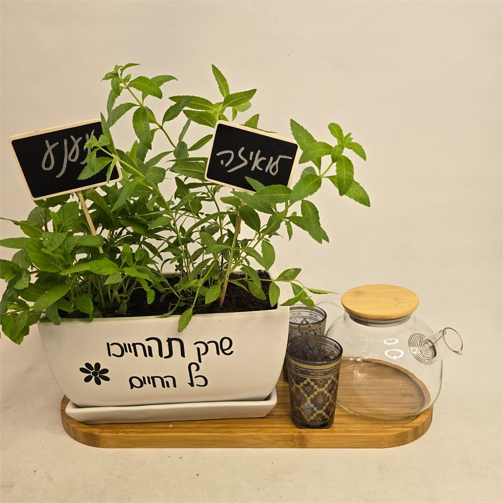 מארז תבלינים 