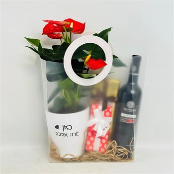 שקית אנטוריום יין ושוקולד