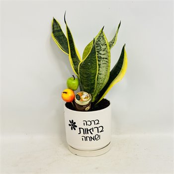 עץ הבריאות