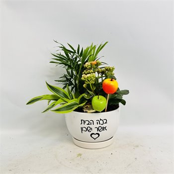 מיקס "בזה הבית אושר ישכון"