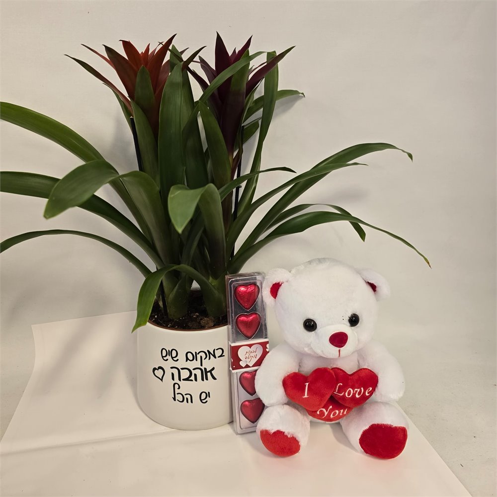 גוזמניות "במקום שיש אהבה יש הכל"