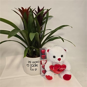 גוזמניות "במקום שיש אהבה יש הכל"