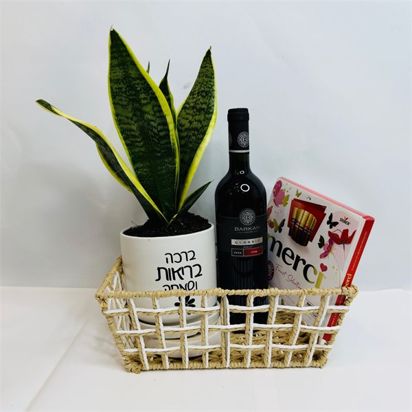 מארז עץ הבריאות יין ומרסי