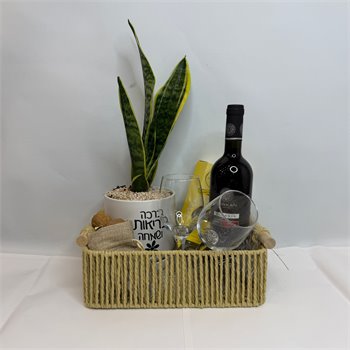 מארז עץ הבריאות יין ושוקולד