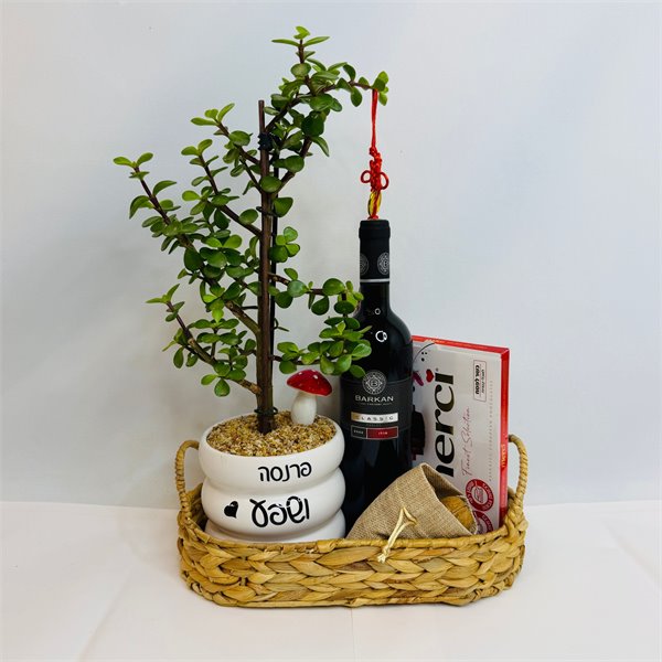 מארז עץ שפע יין ושוקולד