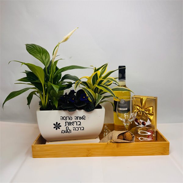 מארז "שמחה פרנסה בריאות ברכה ושלום " ויין