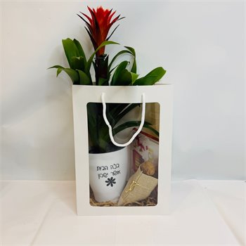 שקית גוזמניה ושוקולד