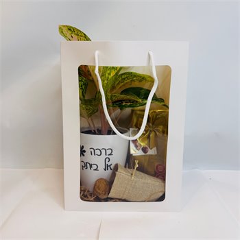 שקית אגלאונמה "ברכה אל ביתך" ושוקולד