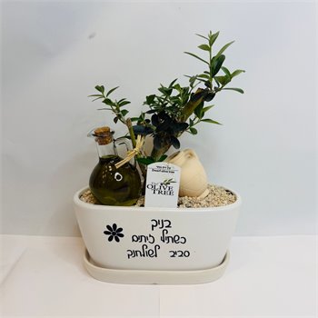 זית ננסי ושמן