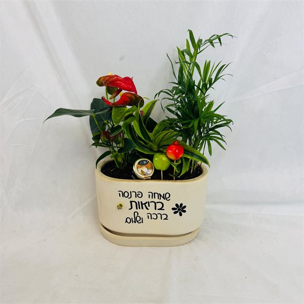 אדנית " שמחה פרנסה בריאות ברכה ושלום"