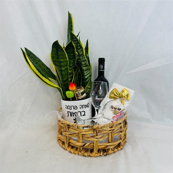 מארז עץ הבריאות יין ושוקולד
