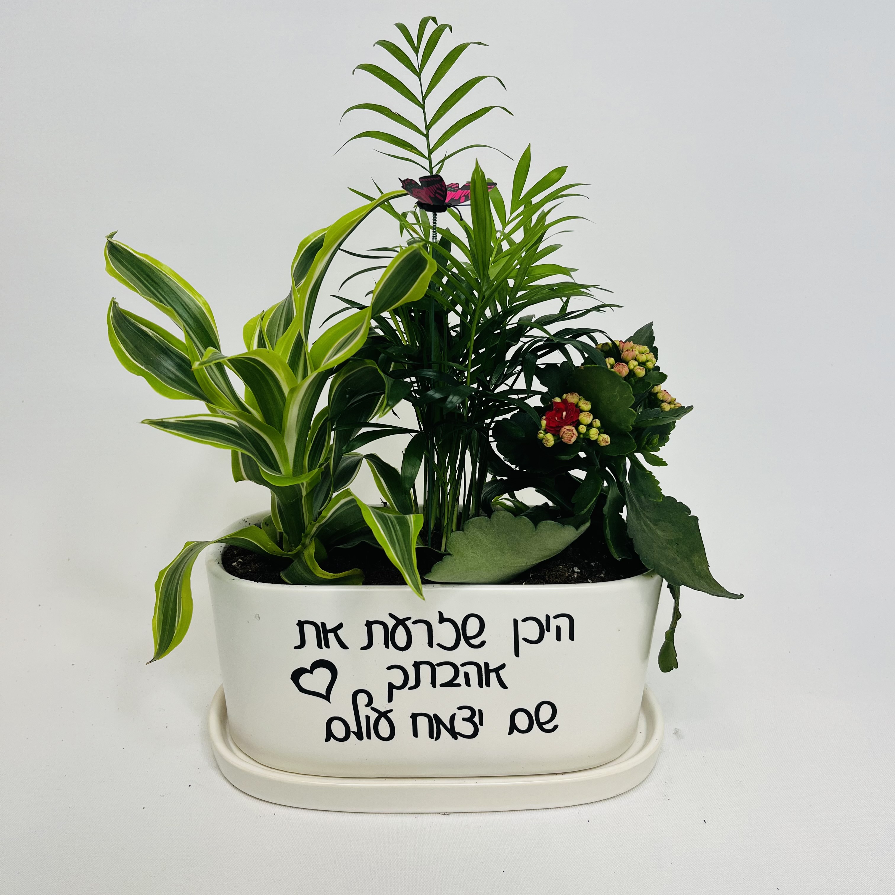 היכן שזרעת את אהבתך  שם יצמח עולם