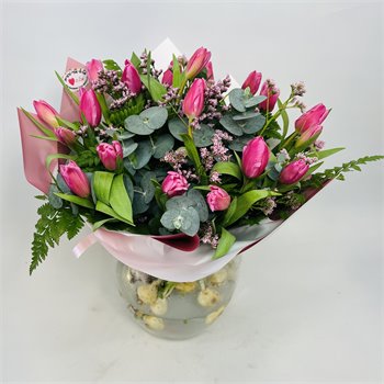 צבעוני בורוד